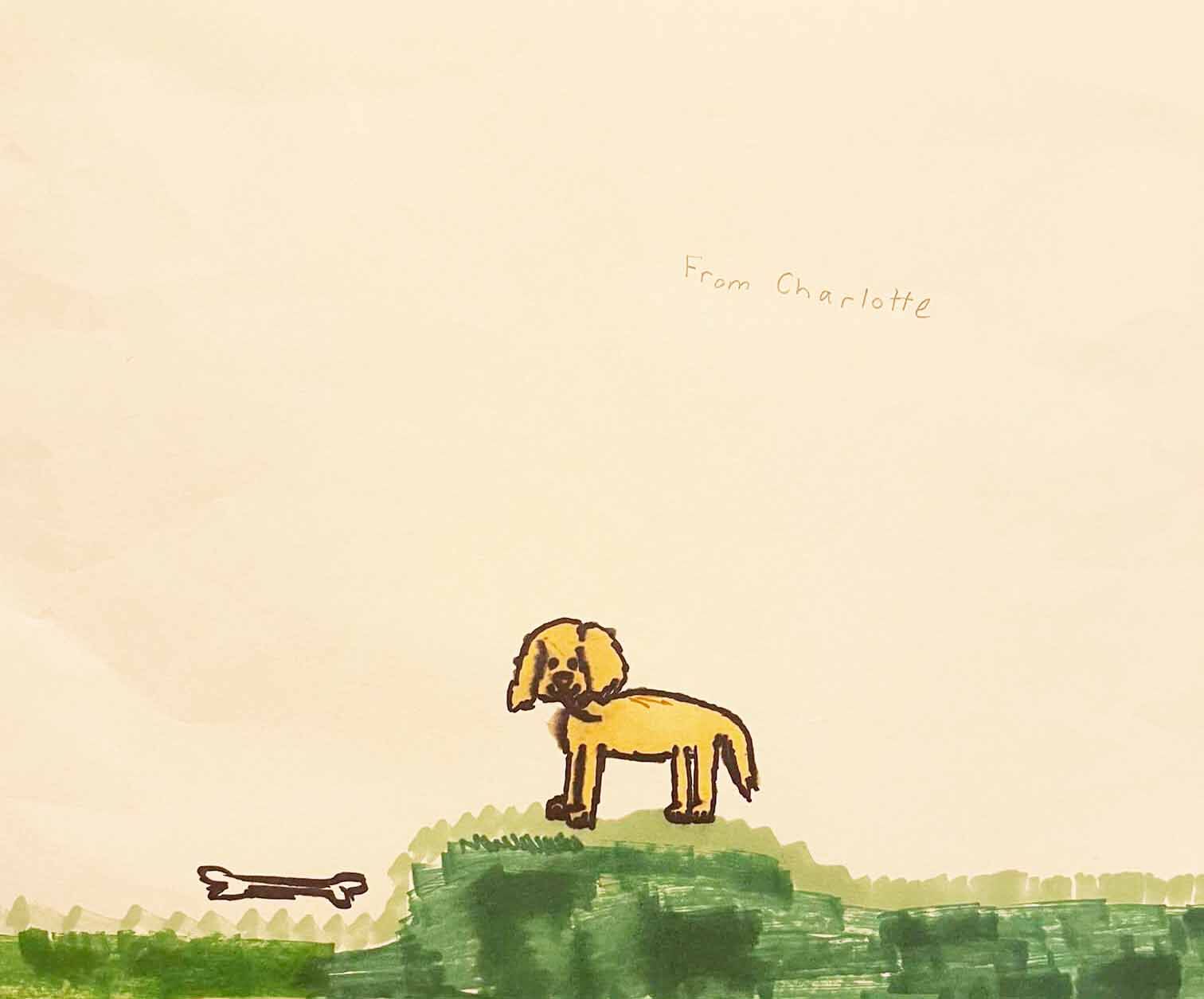 Molly the Yellow Lab, drawn by Charlotte Hirth, 9, of Union Grove